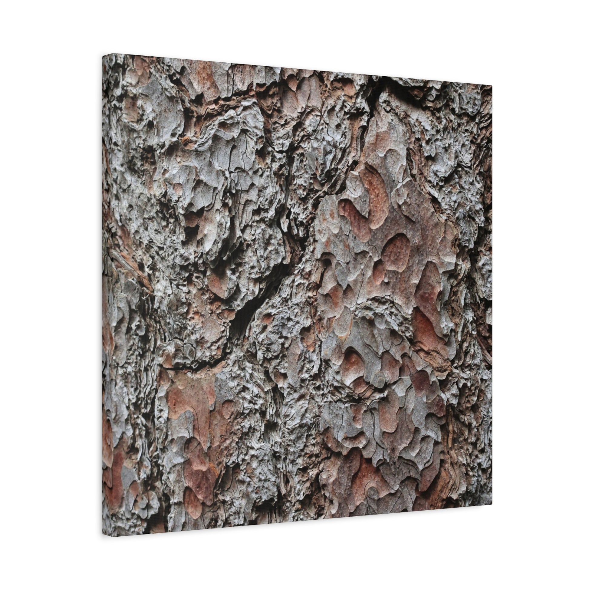 Textured Whispers of Bark - Unique Frameless Canvas Wall Art - Art By Earth