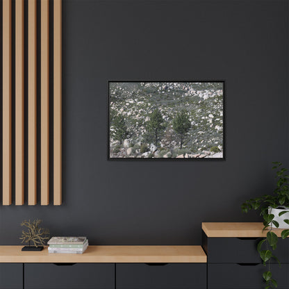 Rocky Hillside with Pine Trees - Unique Stretched Canvas Wall Art - Art By Earth
