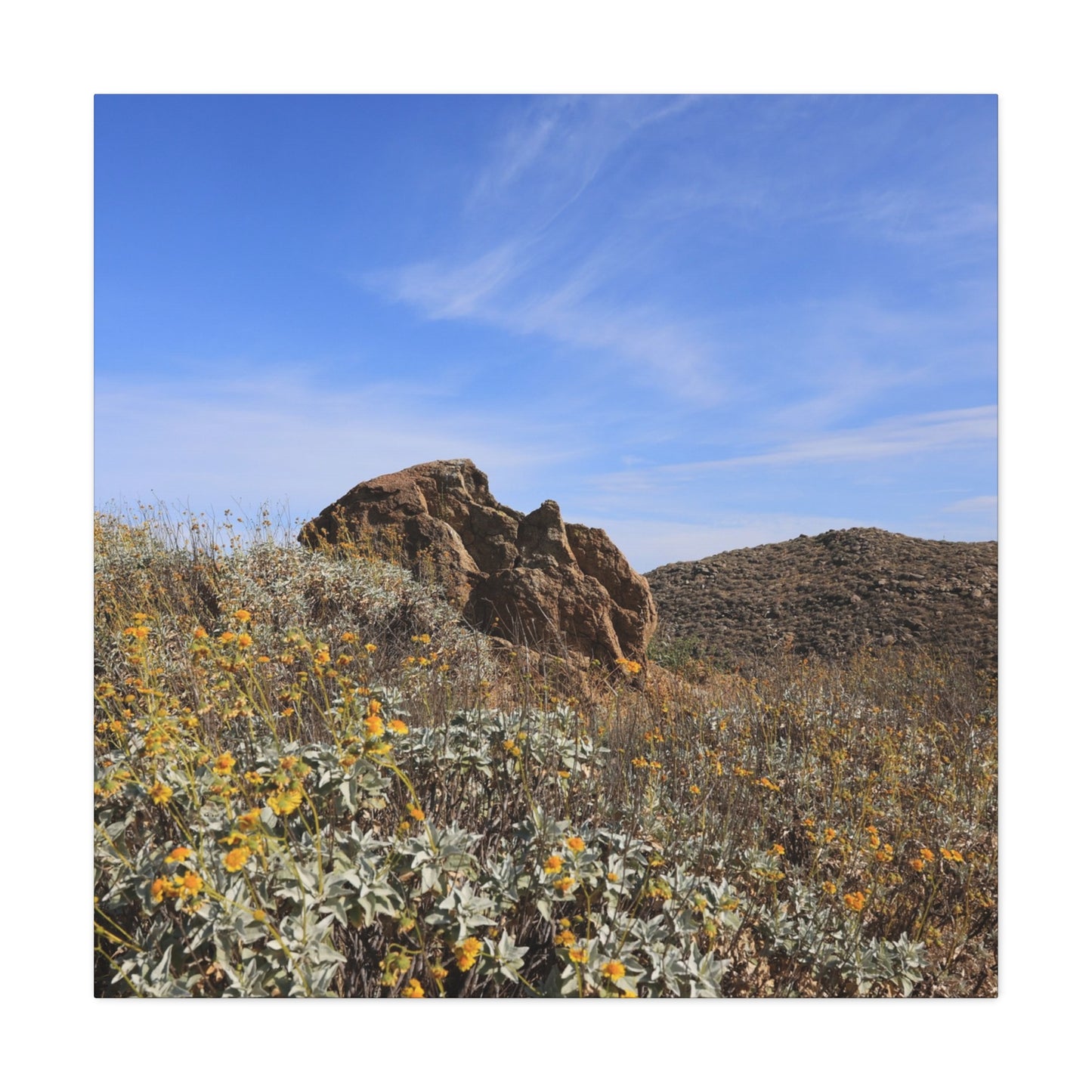 Desert Bloom - Unique Frameless Canvas Wall Art - Art By Earth