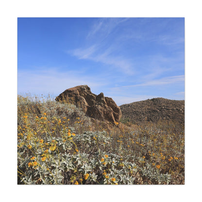 Desert Bloom - Unique Frameless Canvas Wall Art - Art By Earth
