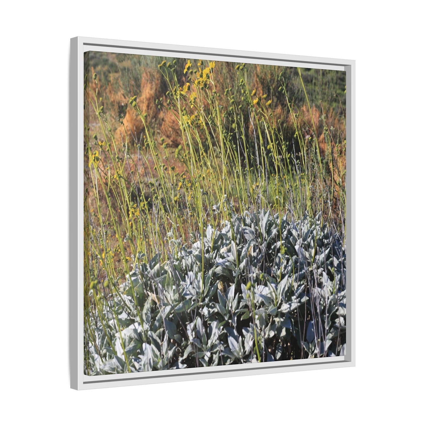 Arid Landscape with Yellow Flowers - Unique Stretched Canvas Wall Art - Art By Earth