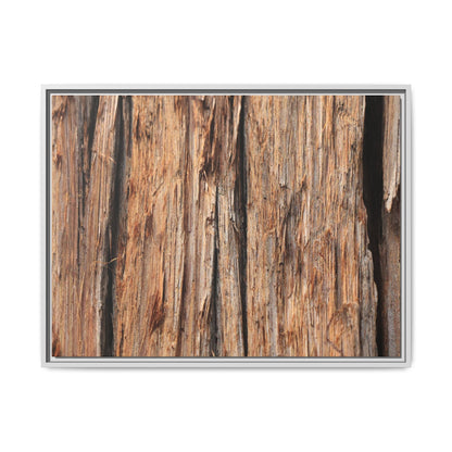 Timber Echoes - Unique Stretched Canvas Wall Art - Art By Earth