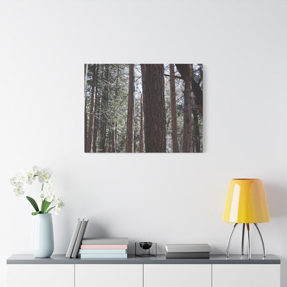 Vertical Sentinels - Unique Frameless Canvas Wall Art - Art By Earth