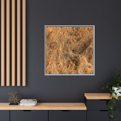 Dried Vegetation Study - Unique Stretched Canvas Wall Art - Art By Earth