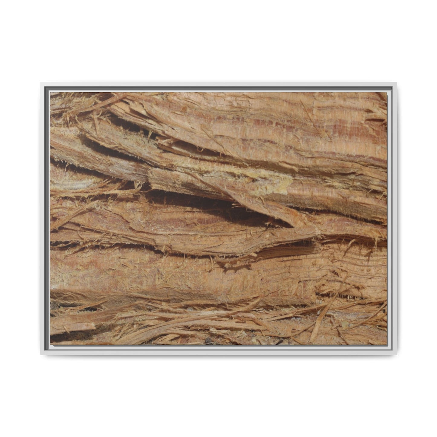 Splintered Bark - Unique Stretched Canvas Wall Art - Art By Earth