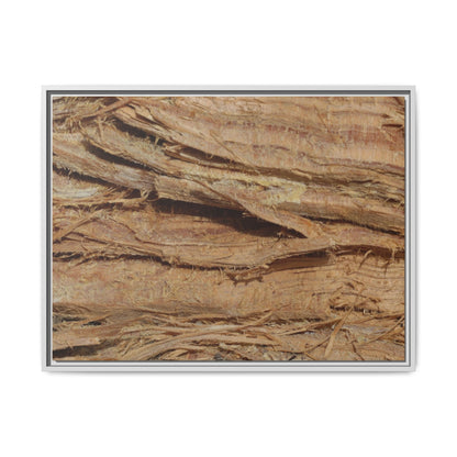 Splintered Bark - Unique Stretched Canvas Wall Art - Art By Earth