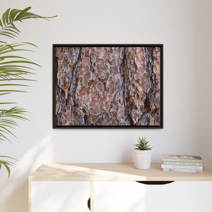 Woody Layers - Unique Stretched Canvas Wall Art - Art By Earth