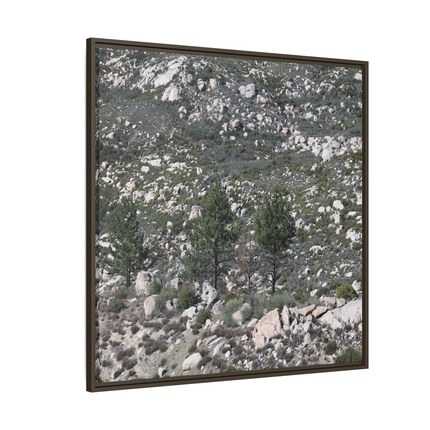 Rocky Hillside with Pine Trees - Unique Stretched Canvas Wall Art - Art By Earth
