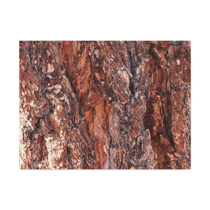 Rust and Ridges - Unique Frameless Canvas Wall Art