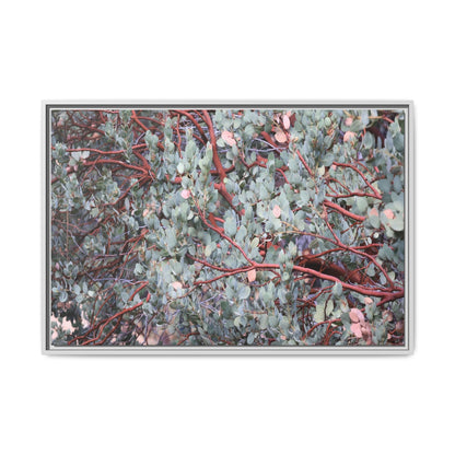 Whispers of Sage - Unique Stretched Canvas Wall Art - Art By Earth