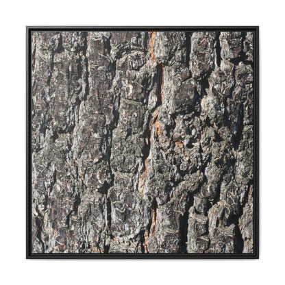 Aged Beauty - Unique Stretched Canvas Wall Art - Art By Earth