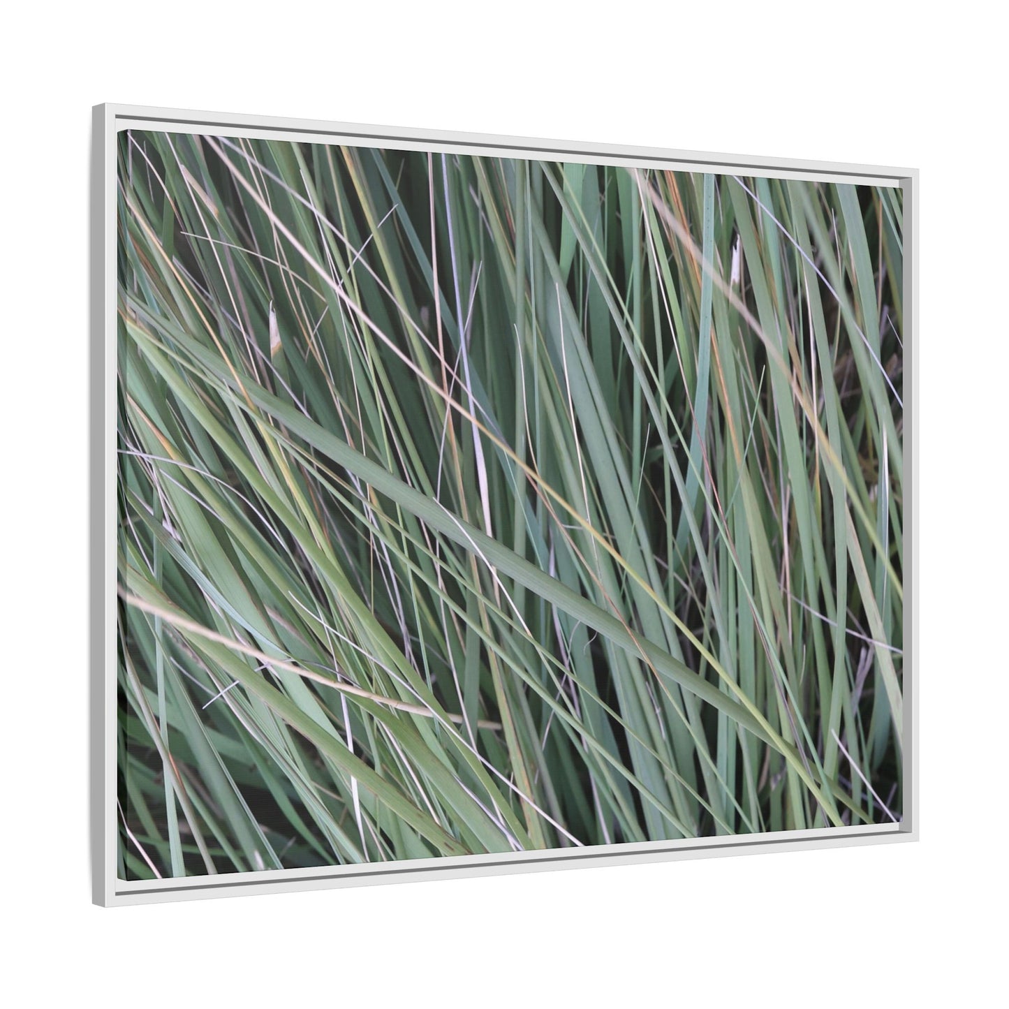 Grassland Symphony - Unique Stretched Canvas Wall Art - Art By Earth