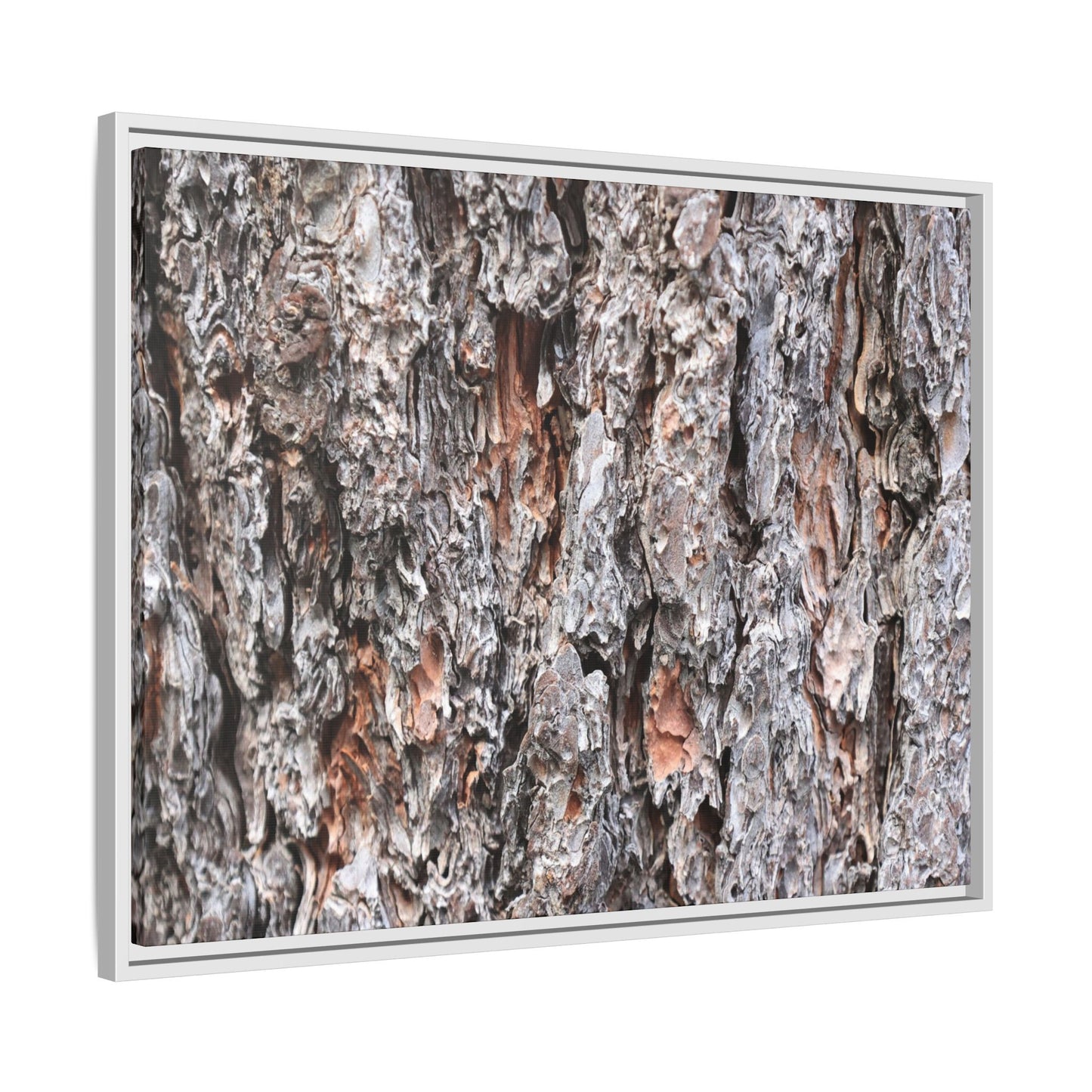 Rugged Cortex - Unique Stretched Canvas Wall Art - Art By Earth