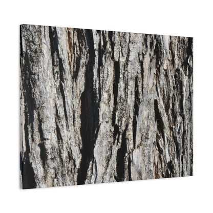 Bark Textures in Monochrome - Unique Frameless Canvas Wall Art - Art By Earth