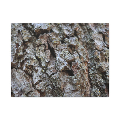 Cracked Echoes - Unique Frameless Canvas Wall Art - Art By Earth