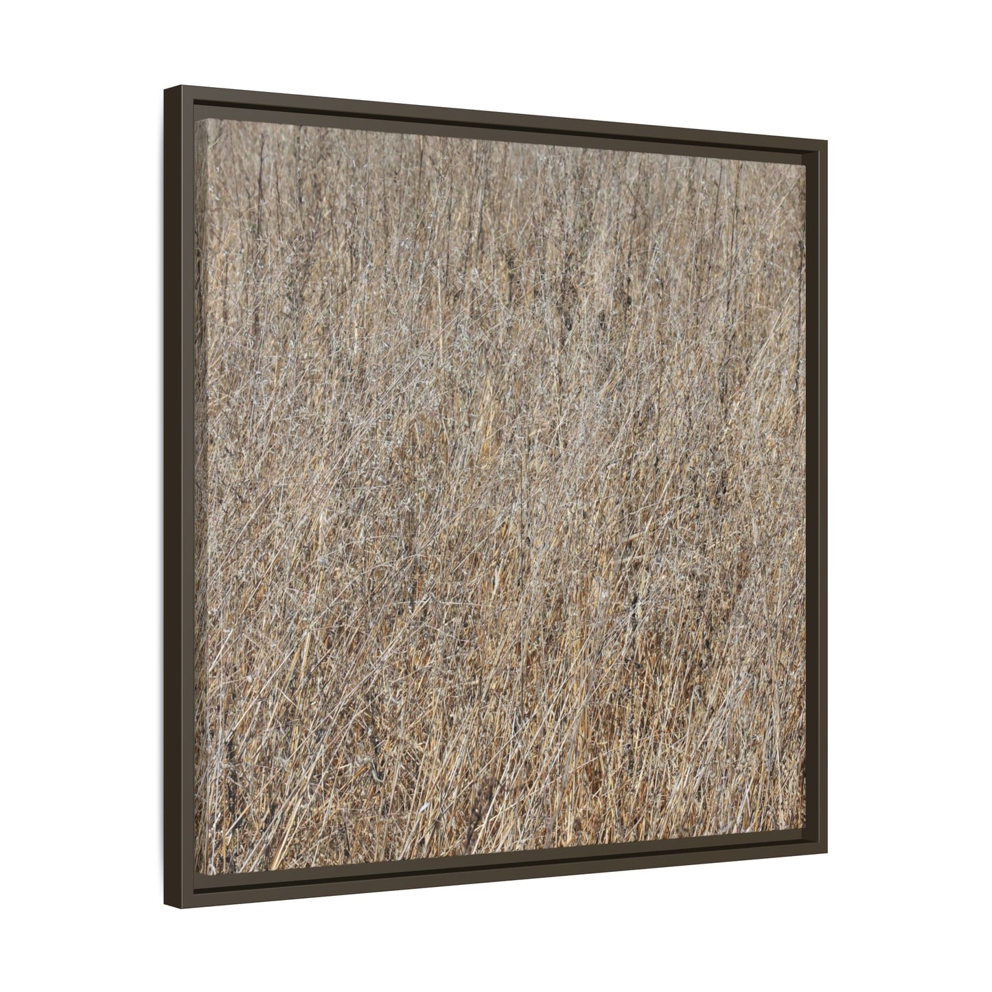 Whispers of Straw - Unique Stretched Canvas Wall Art - Art By Earth