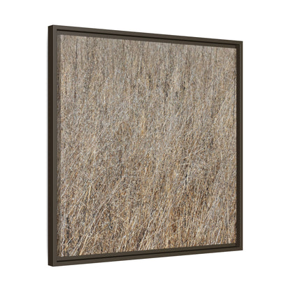 Whispers of Straw - Unique Stretched Canvas Wall Art - Art By Earth