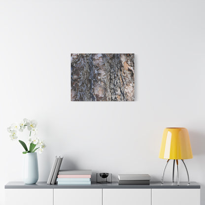 Bark's Rugged Symphony - Unique Frameless Canvas Wall Art - Art By Earth