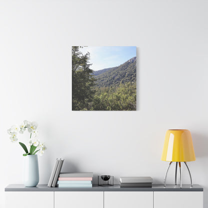 Mountain Vista Through Forest - Unique Frameless Canvas Wall Art