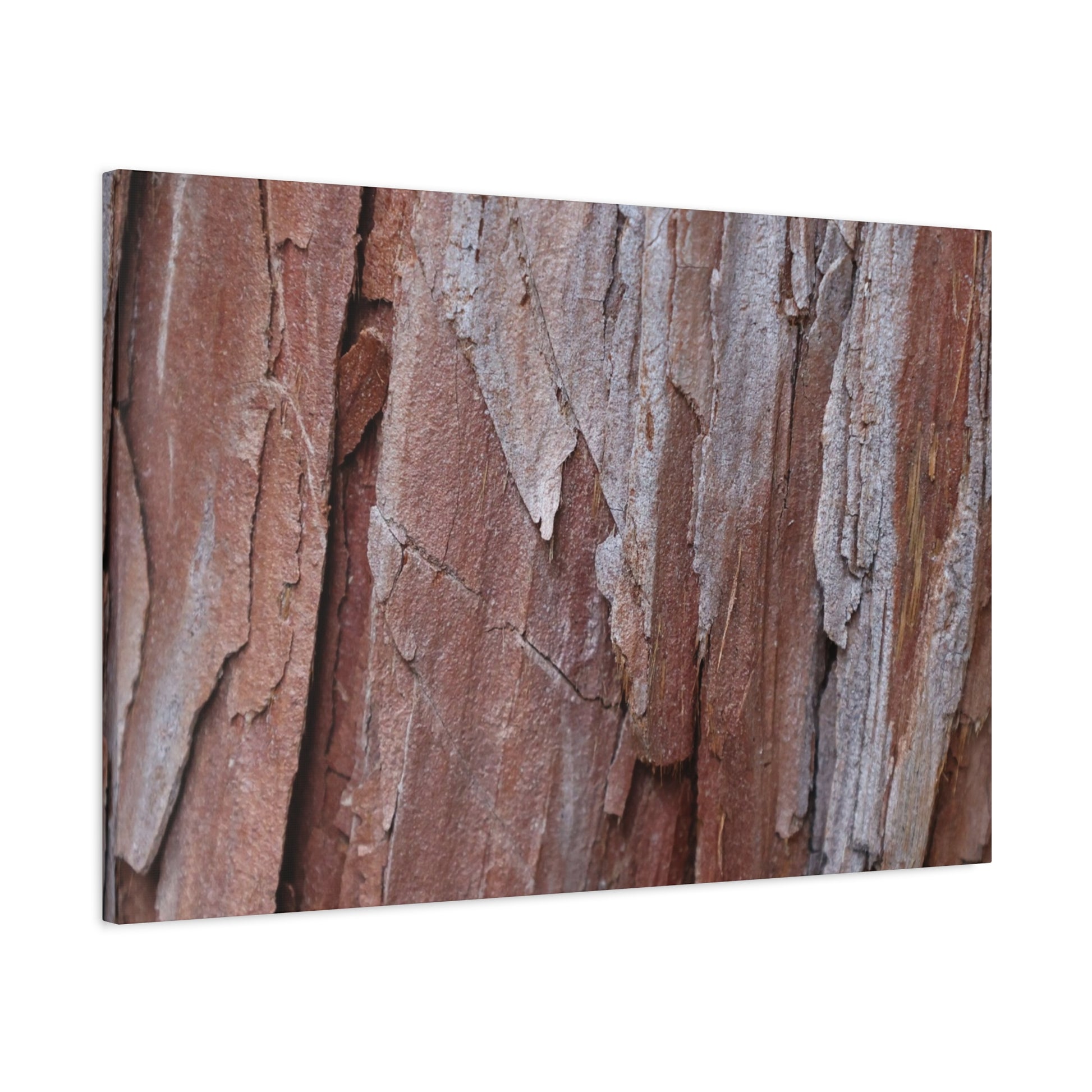 Peeling Paint - Unique Frameless Canvas Wall Art - Art By Earth