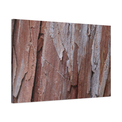 Peeling Paint - Unique Frameless Canvas Wall Art - Art By Earth