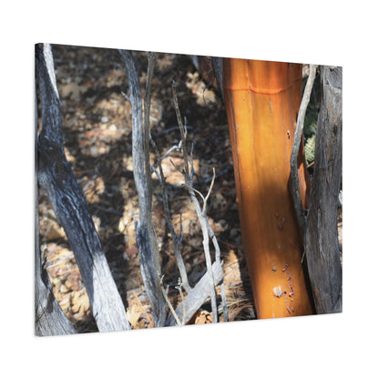 Burnt Forest Remnants - Unique Frameless Canvas Wall Art