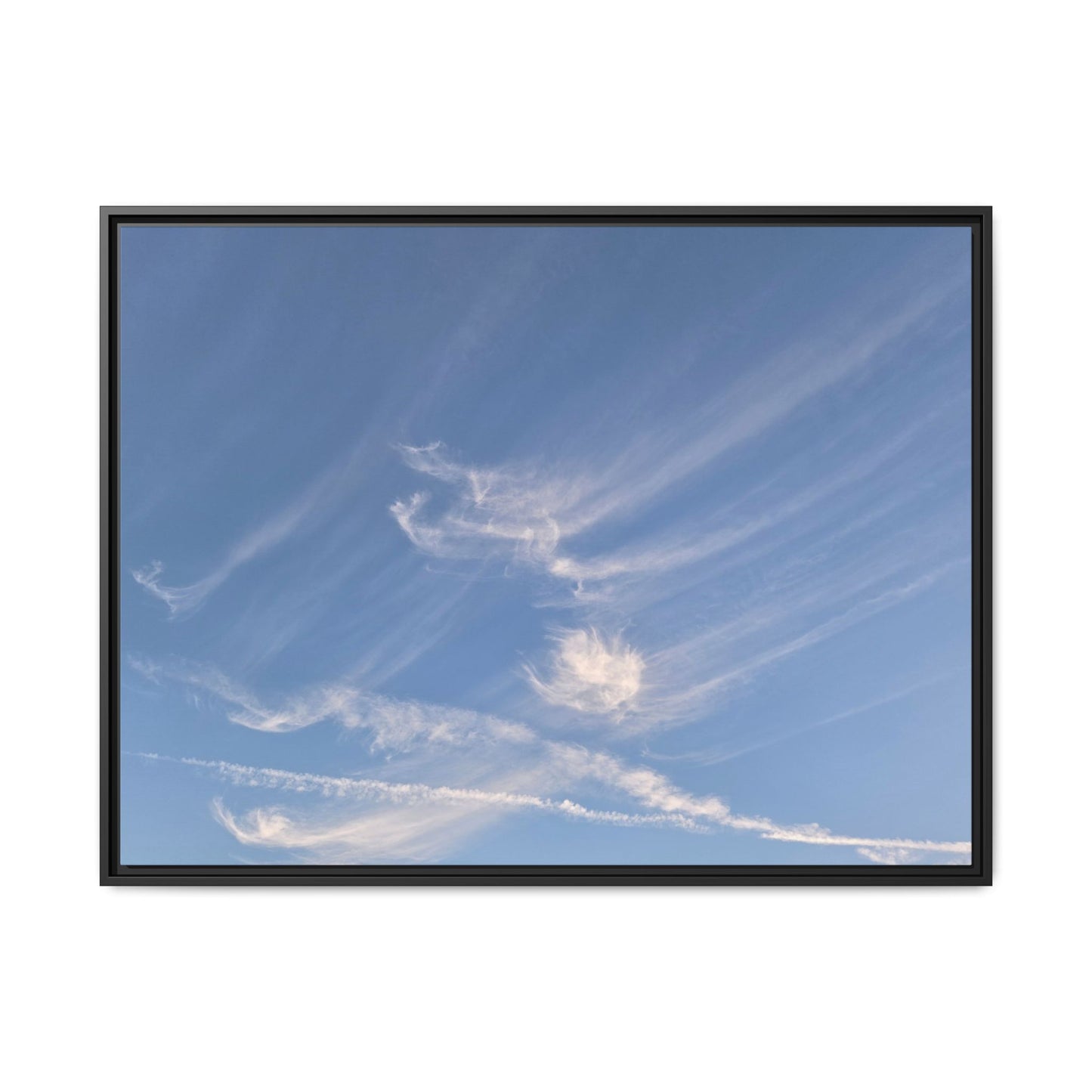 Wispy Dreams - Unique Stretched Canvas Wall Art - Art By Earth