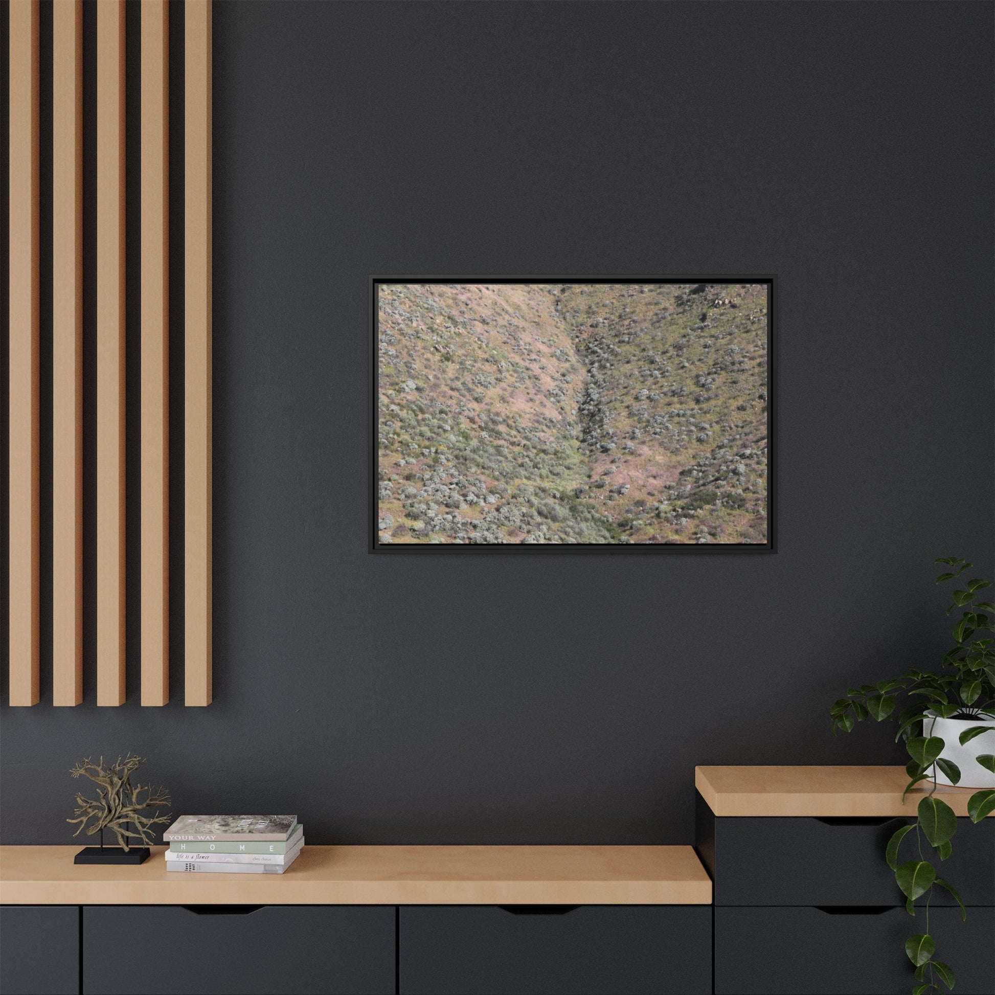 Mountain Slope with Desert Vegetation - Unique Stretched Canvas Wall Art - Art By Earth