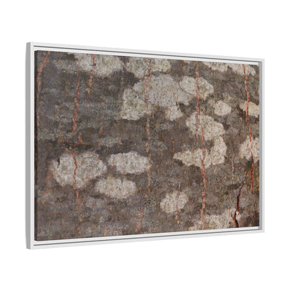 Lichen's Legacy - Unique Stretched Canvas Wall Art - Art By Earth