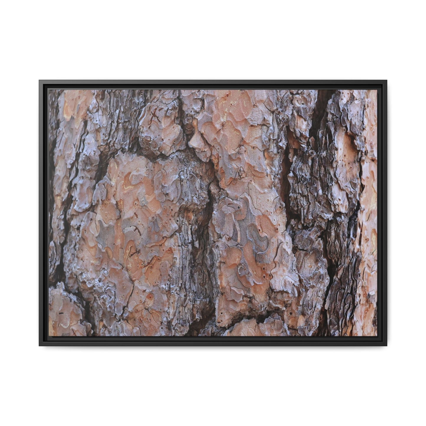 Tree Skin Symphony - Unique Stretched Canvas Wall Art - Art By Earth