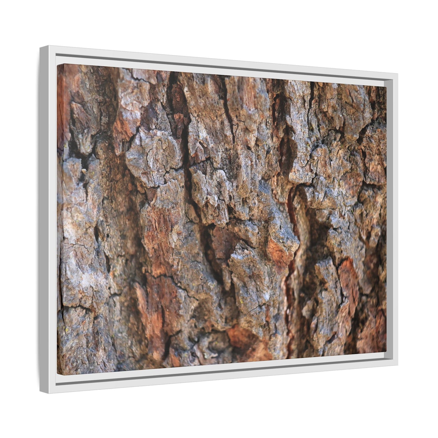 Craggy Textures - Unique Stretched Canvas Wall Art - Art By Earth