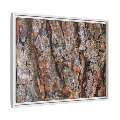 Craggy Textures - Unique Stretched Canvas Wall Art - Art By Earth