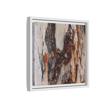 Texture of Time - Unique Stretched Canvas Wall Art - Art By Earth