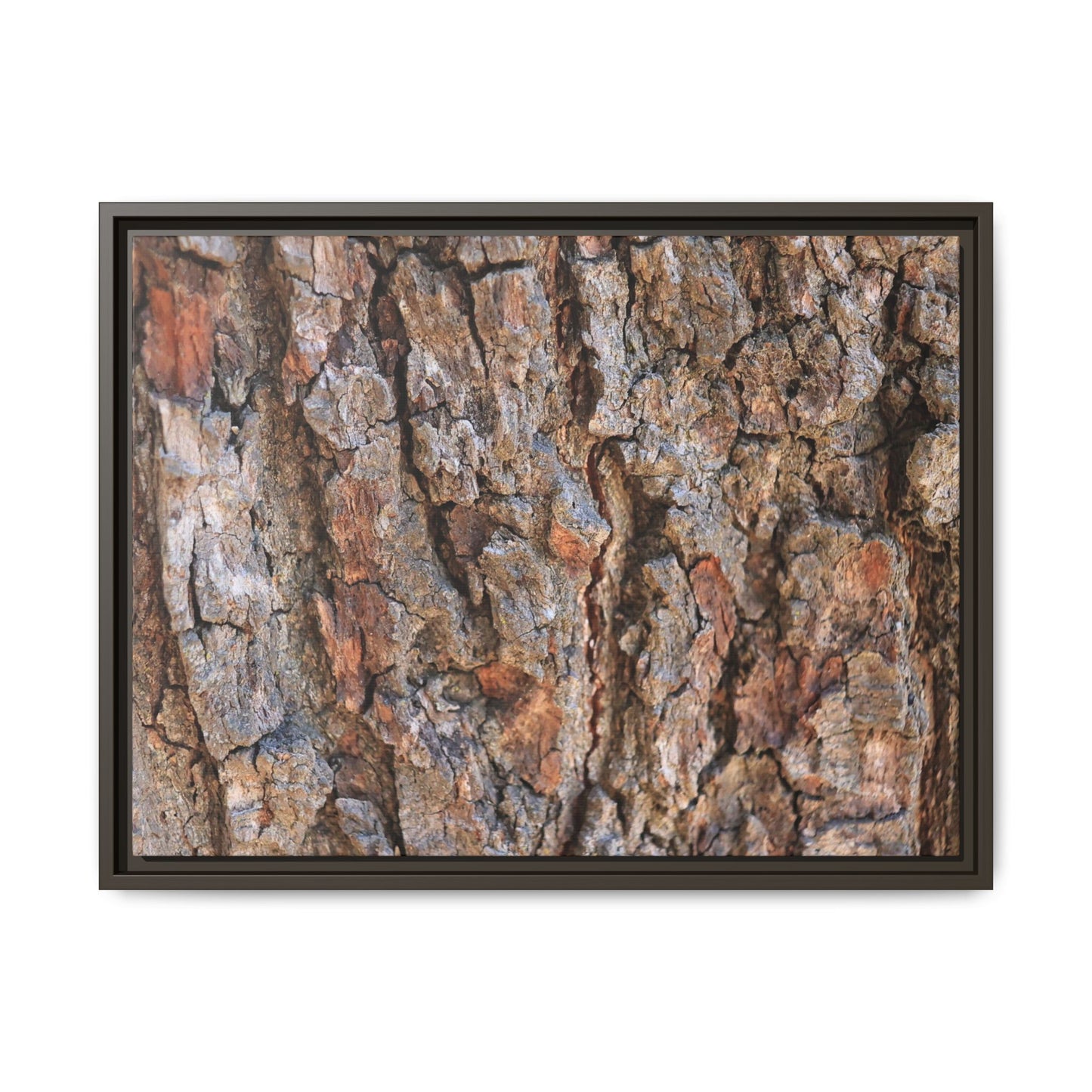 Tree's Timeworn Tale - Unique Stretched Canvas Wall Art - Art By Earth