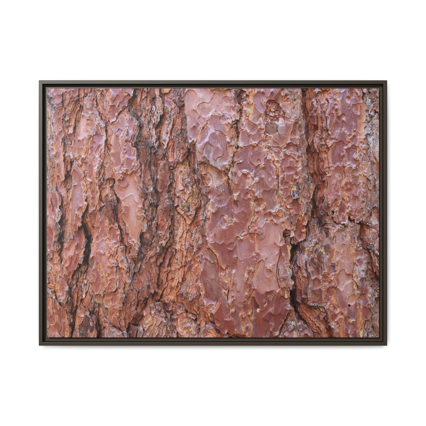 Russet Ridges - Unique Stretched Canvas Wall Art - Art By Earth