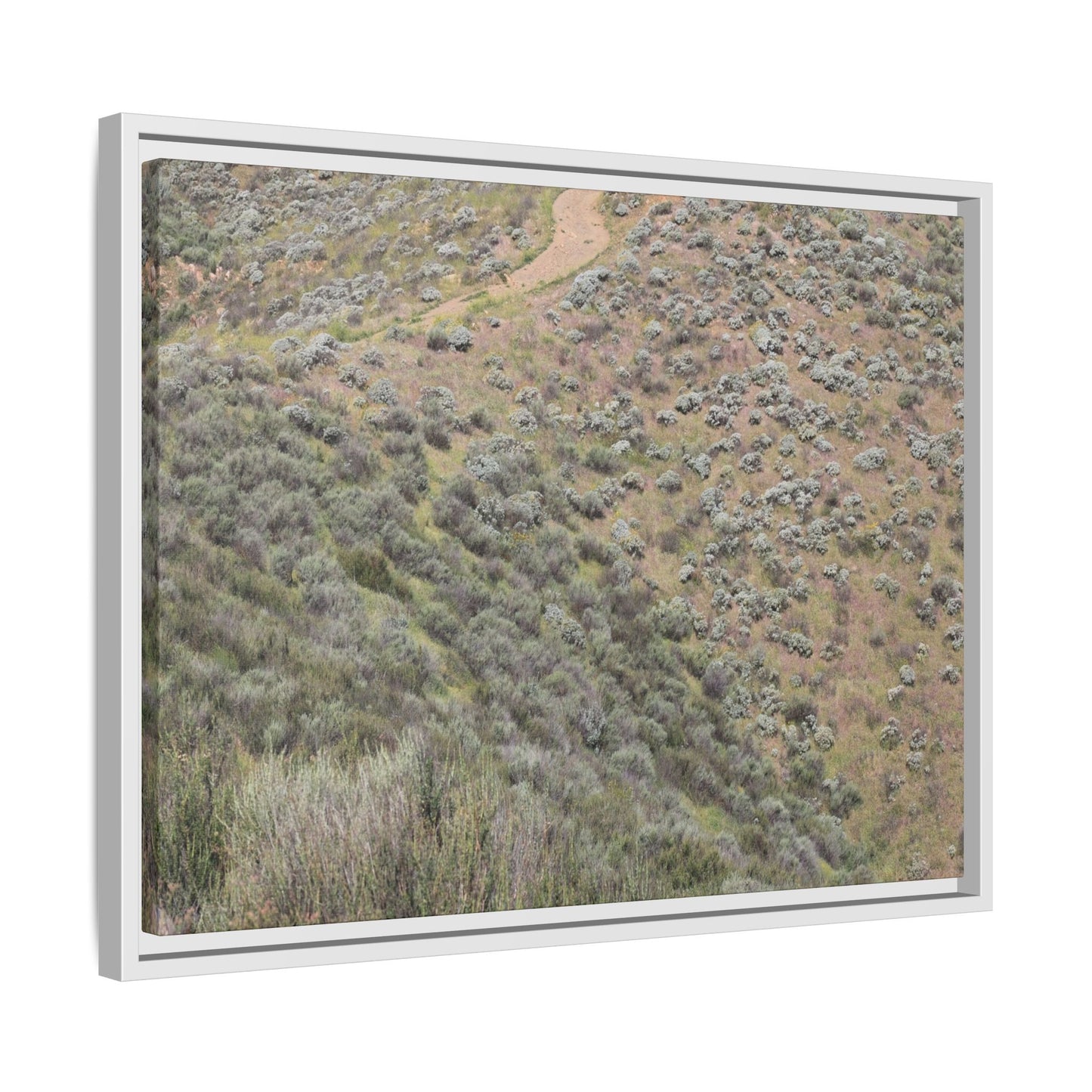 Arid Landscape with Winding Path - Unique Stretched Canvas Wall Art - Art By Earth