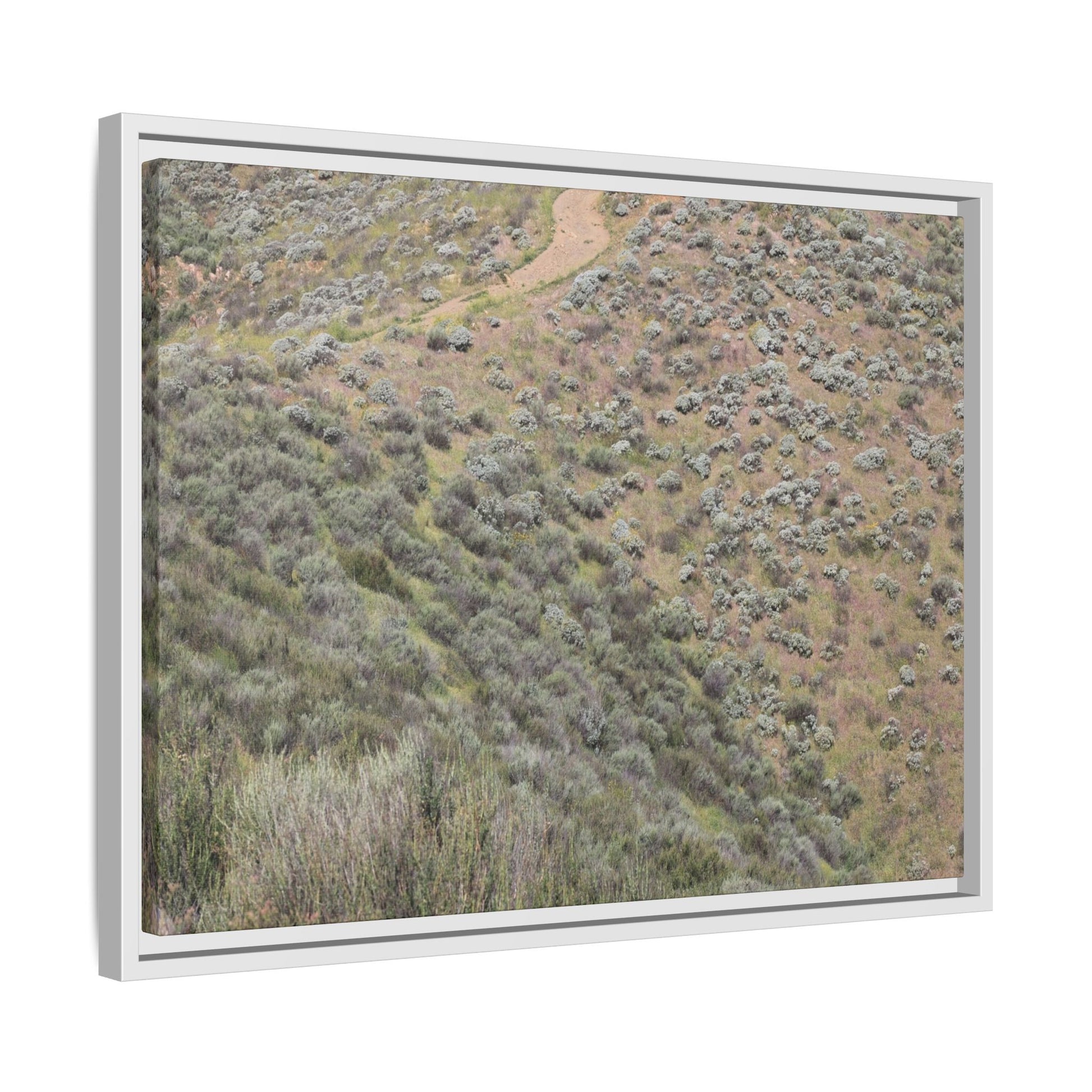 Arid Landscape with Winding Path - Unique Stretched Canvas Wall Art - Art By Earth