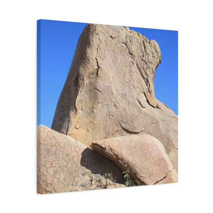 Boulder's Embrace - Unique Frameless Canvas Wall Art - Art By Earth