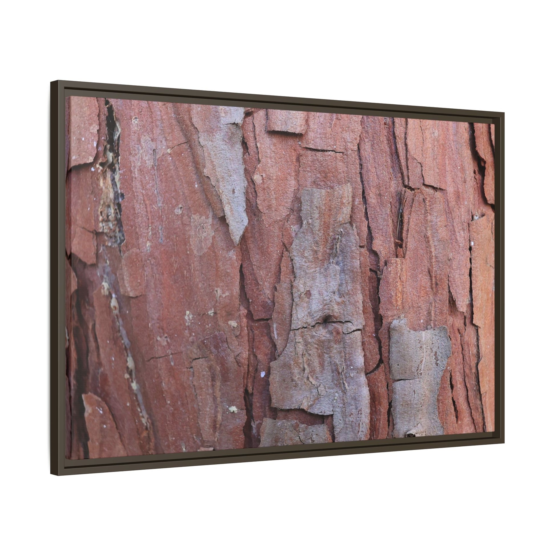 Peeling Bark - Unique Stretched Canvas Wall Art - Art By Earth