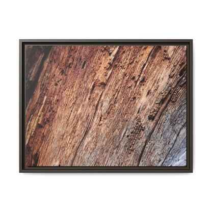 Time's Mark - Unique Stretched Canvas Wall Art - Art By Earth