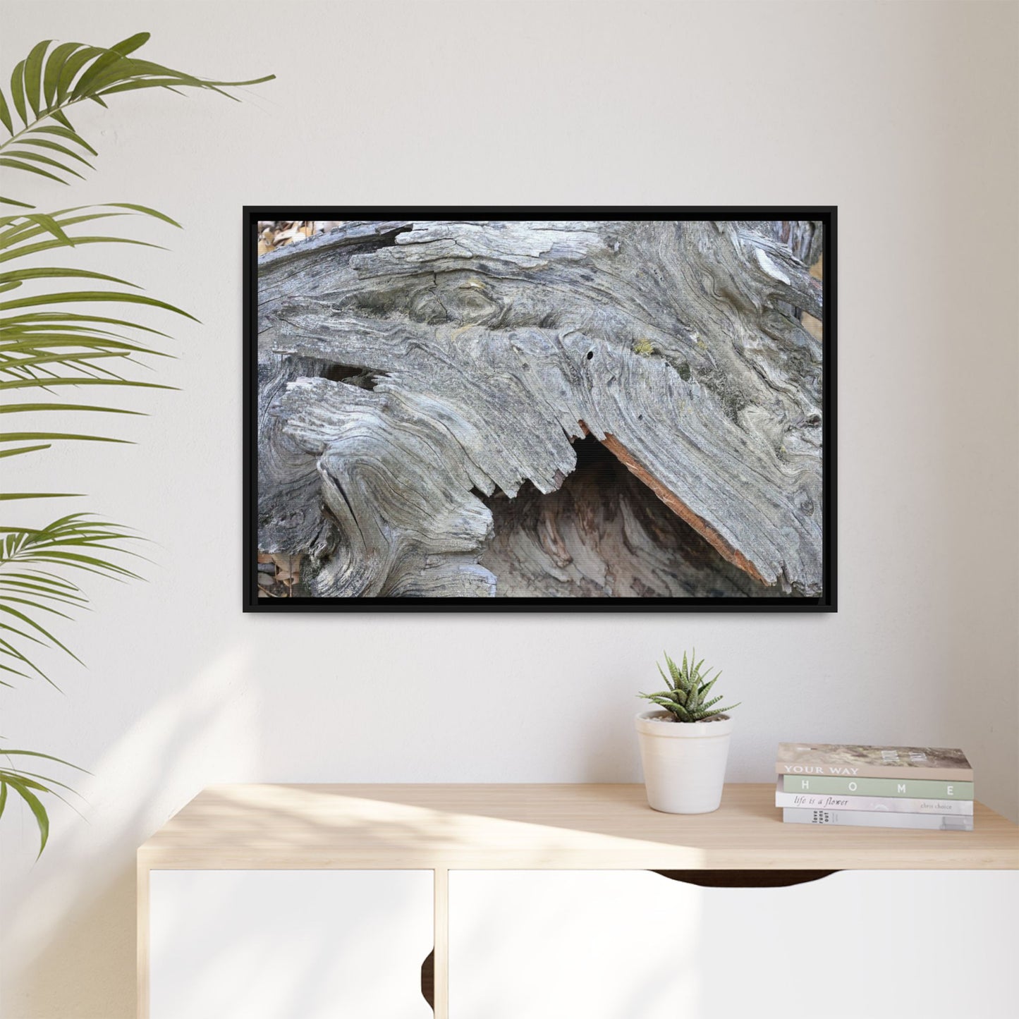 Driftwood Dreams - Unique Stretched Canvas Wall Art - Art By Earth