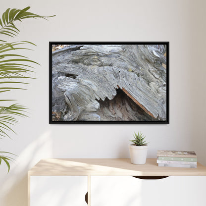 Driftwood Dreams - Unique Stretched Canvas Wall Art - Art By Earth