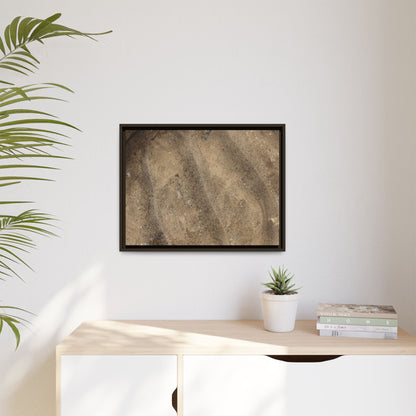 Tidal Pool Secrets - Unique Stretched Canvas Wall Art - Art By Earth
