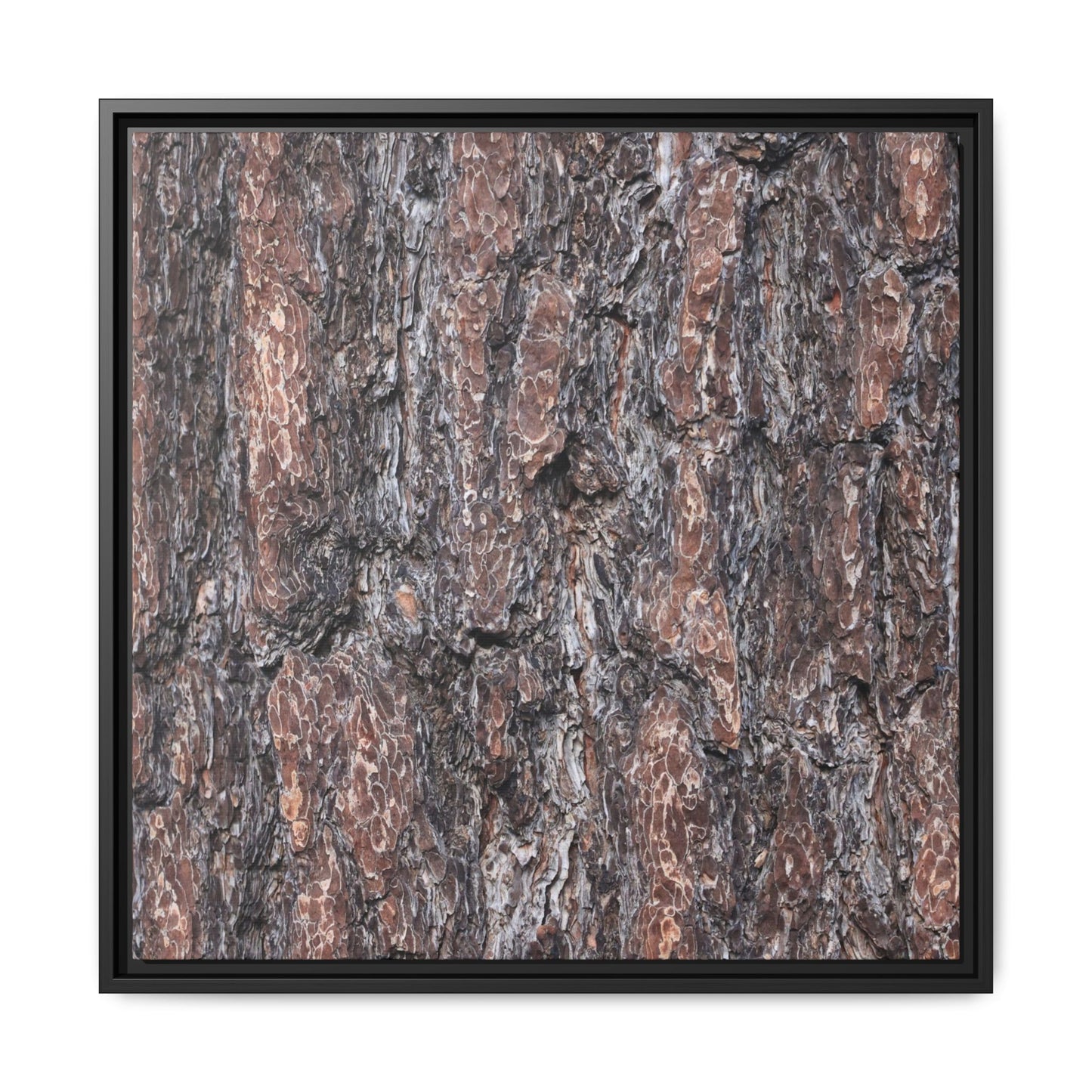 Echoes of Wood - Unique Stretched Canvas Wall Art