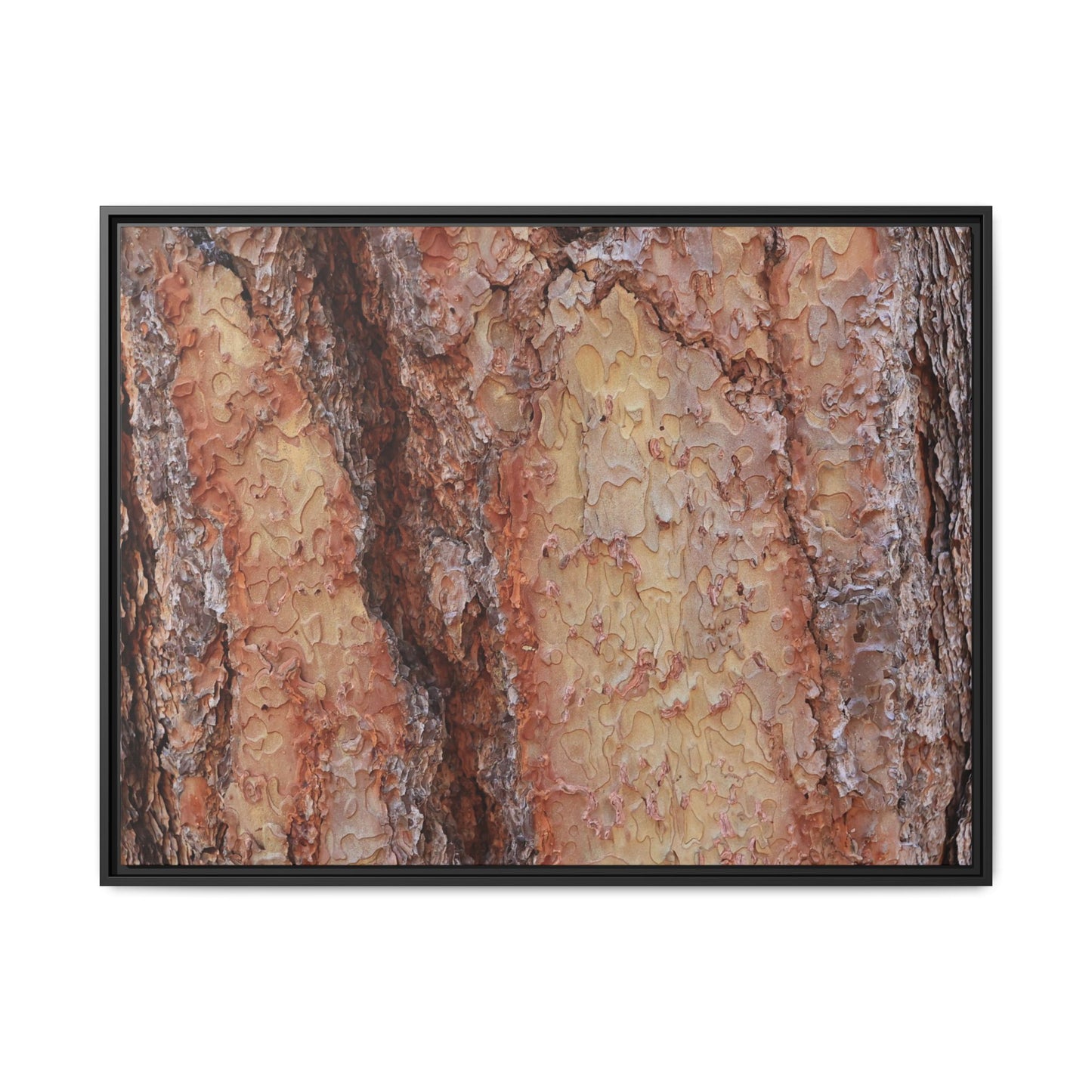 Rustic Rhythms - Unique Stretched Canvas Wall Art - Art By Earth