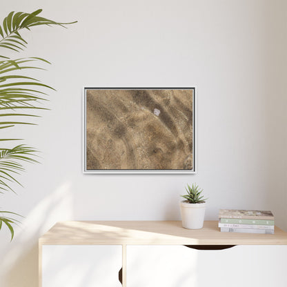 Underwater Sand Exploration - Unique Stretched Canvas Wall Art - Art By Earth