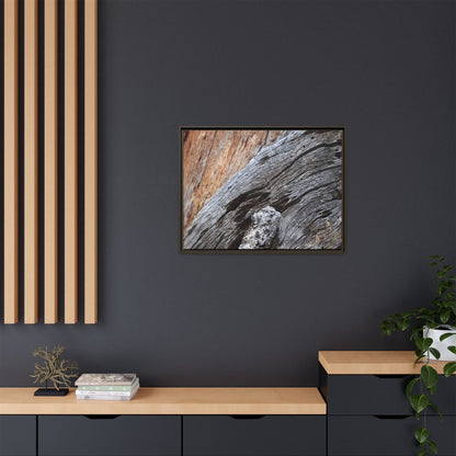 Time's Mark on Timber - Unique Stretched Canvas Wall Art - Art By Earth