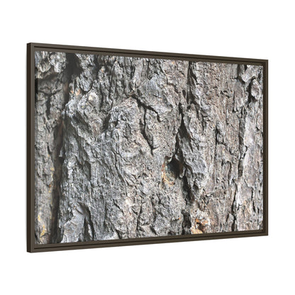 Crusty Exterior - Unique Stretched Canvas Wall Art - Art By Earth