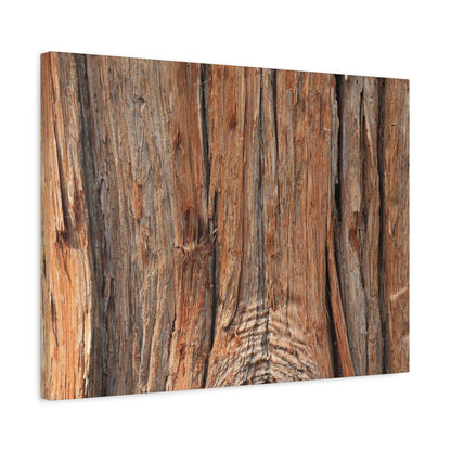 Bark's Ancient Whispers - Unique Frameless Canvas Wall Art - Art By Earth