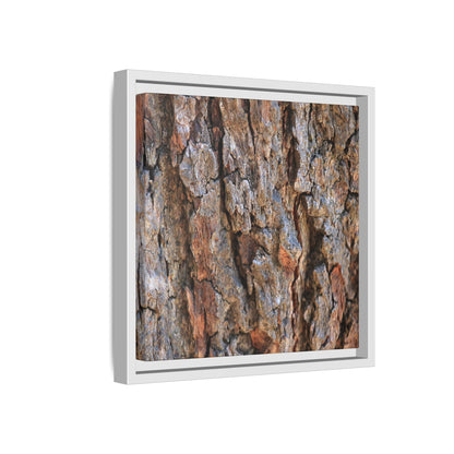 Craggy Textures - Unique Stretched Canvas Wall Art - Art By Earth